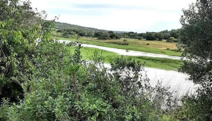Villa Serrana -  Todas - Minas