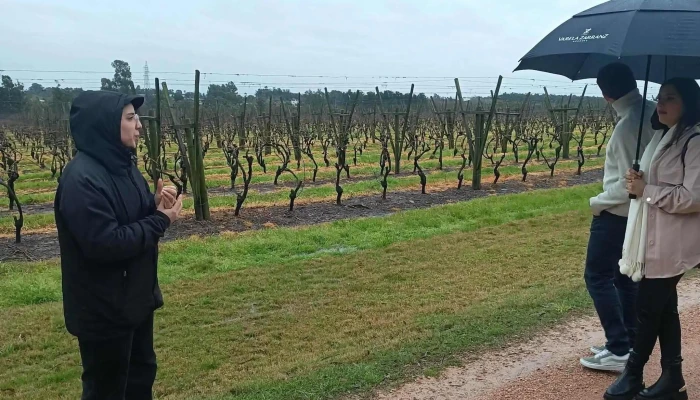 Vina Varela Zarranz Comentario 7 - Joaquín Suárez