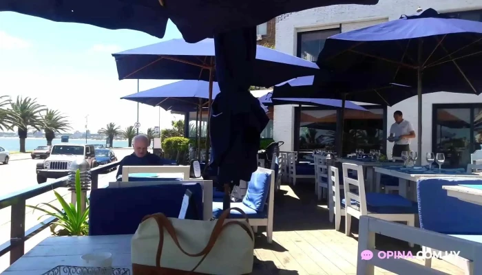 Virazon Puerto Videos - Punta del Este