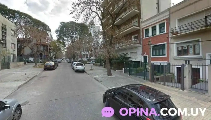 Virginia Polleri Negocios Inmobiliarios - Montevideo