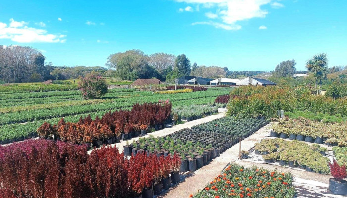 Vivero Altair - 11000 Montevideo