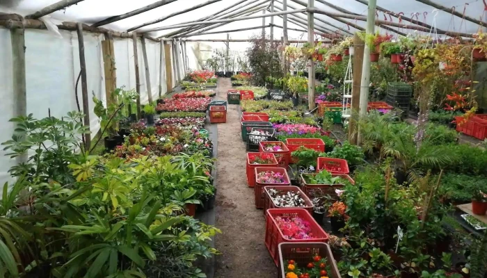 Vivero Atlantida Interior - Estación Atlántida