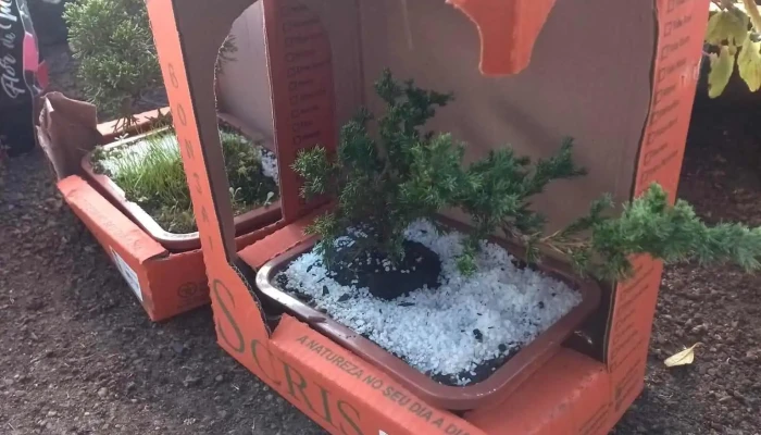 Vivero Batoví - Departamento De Durazno