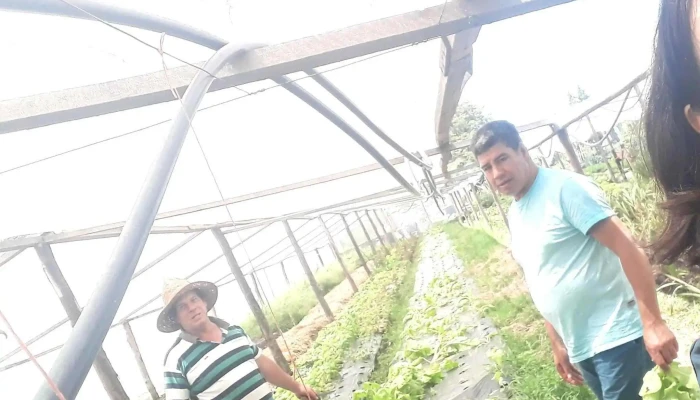 Vivero del Ángel - Guichón