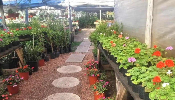 Vivero Ecoflora Instagram - Las Toscas