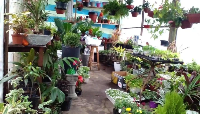 Vivero El Rancho -  Interior - Quebracho