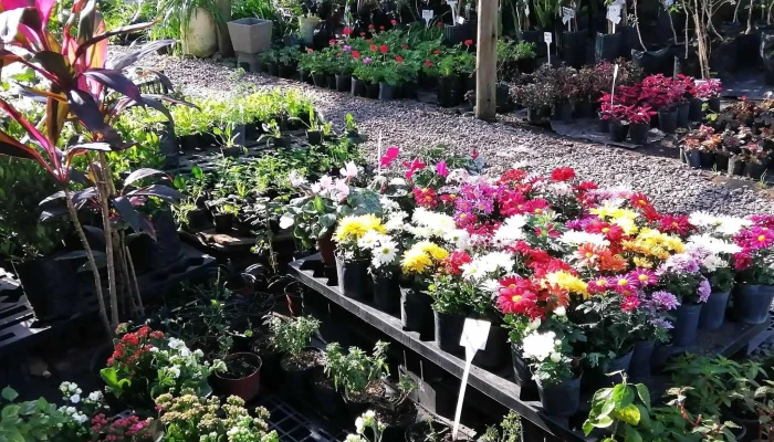 Vivero Jardines Del Sacramento -  Donde - Col. del Sacramento