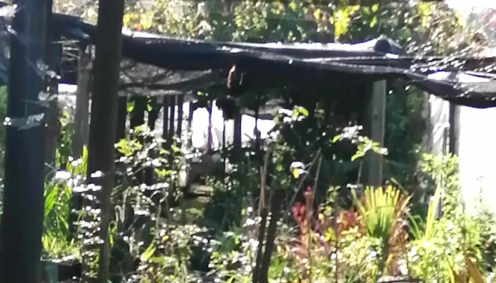 Vivero Jardines Del Sacramento -  Telefono - Col. del Sacramento