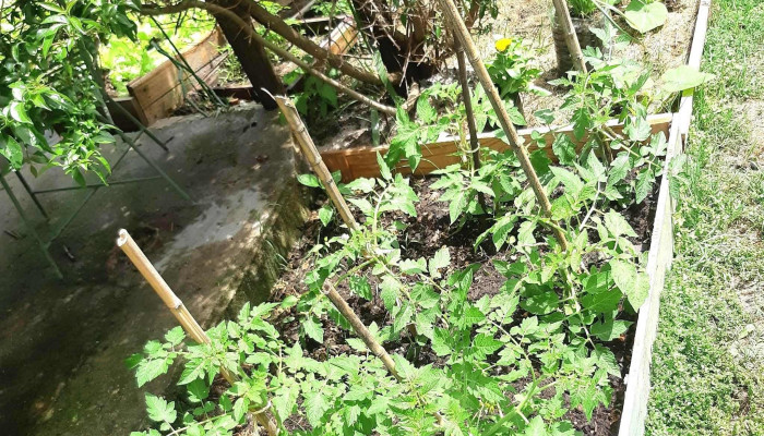 Vivero Koln -  Telefono - Estación Atlántida