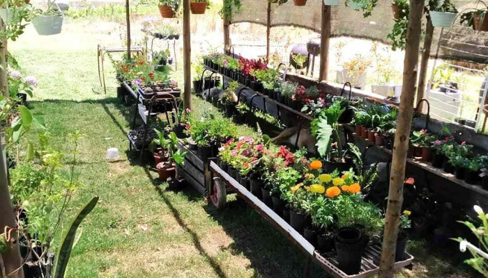 Vivero la naturaleza es vida - 15120 Soca