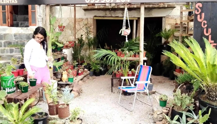 Vivero las Tunas Piriapolis - Departamento De Maldonado