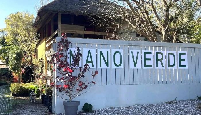 Vivero Mano Verde - Marie Sophie Germain