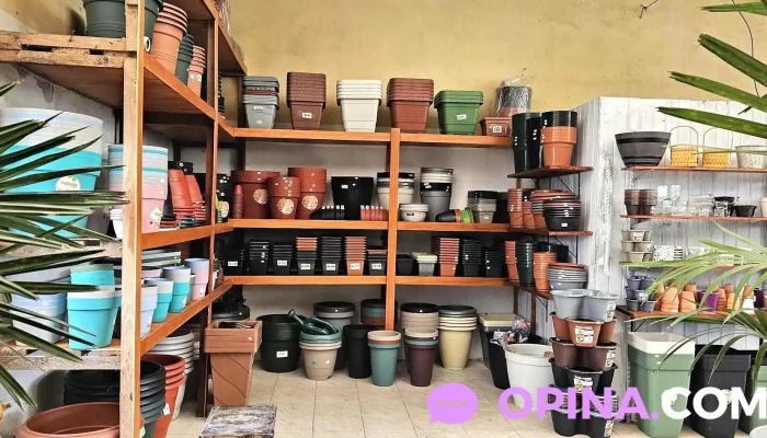 Vivero Monte Color -  Del Propietario - Atlántida