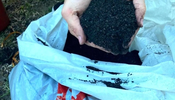 Vivero Montes -  Comentario 5 - La Floresta