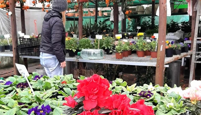 Vivero Montes -  Comentario 7 - La Floresta