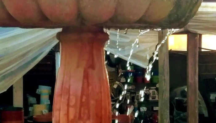 Vivero Montes -  Interior - La Floresta