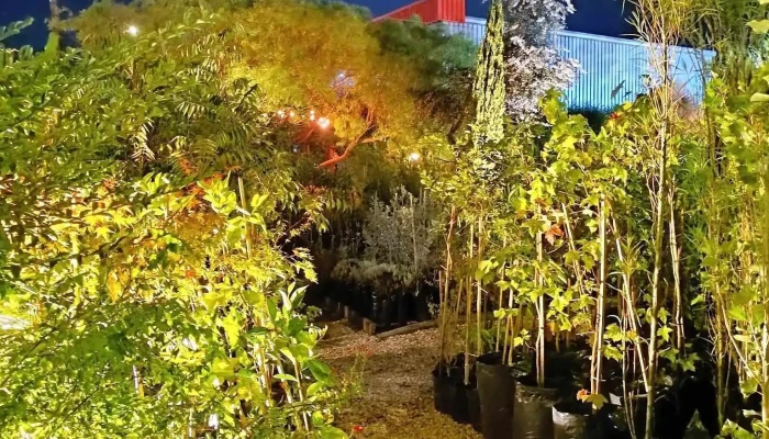 Vivero San Isidro - 33000 Treinta Y Tres