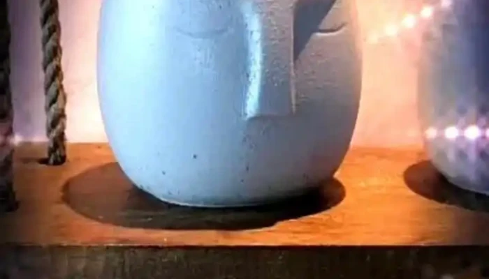 Vivero Yaxche Videos - Paysand&uacute;