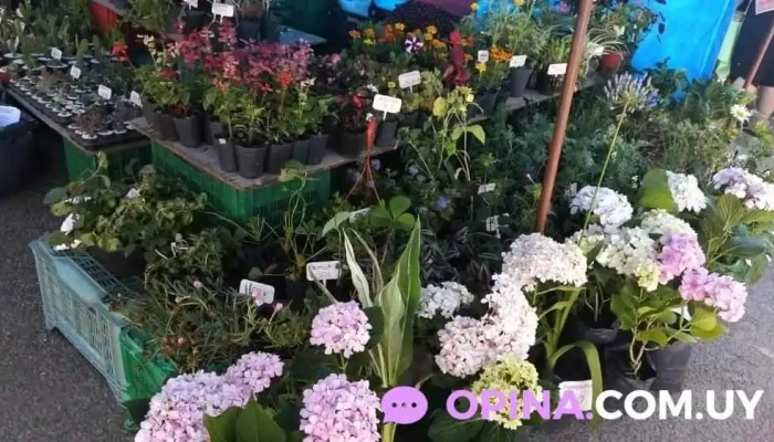 viverobiojardin - Rodolfo Canstatt