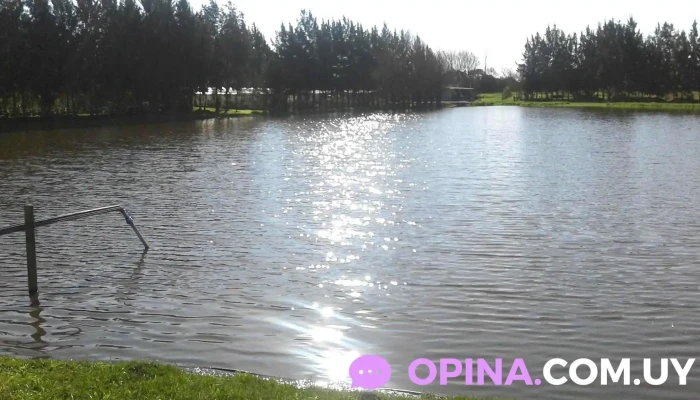 Viveros Monza - 91500 Carrasco Del Sauce. Sauce