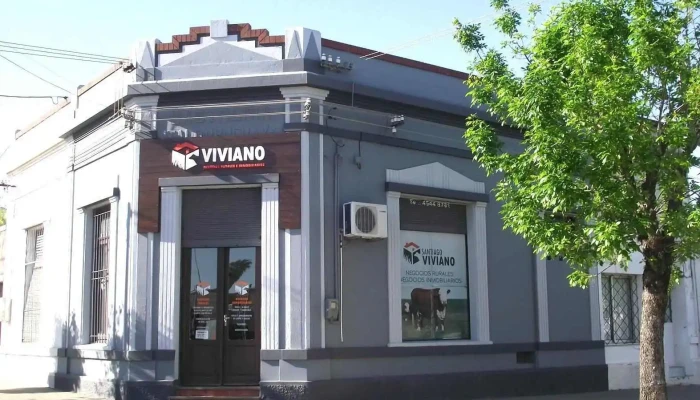 Viviano Agronegocios Inmobiliaria -  Direccion - Nueva Palmira