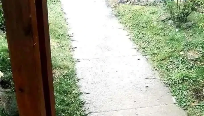 Viviendas De Monte Del Plata -  De Los Visitantes - Col. del Sacramento