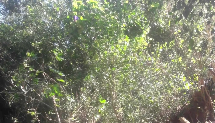 Viviendas De Monte Del Plata -  Instagram - Col. del Sacramento