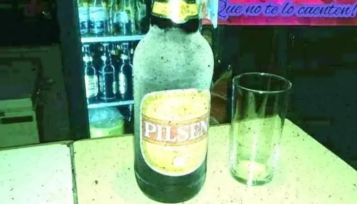 Vivilo Pub -  Todo - Fray Bentos