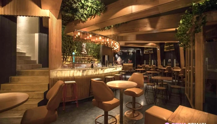 Volve Mi Negra -  Todo - Montevideo