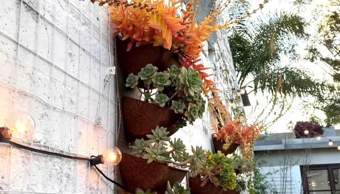 Vrote -  Comentario 4 - Montevideo