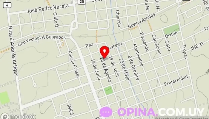 mapa de Vuevos Gimnasio en Guichón