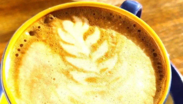 Wakeup Coffee Smoothies Capuchino - Montevideo