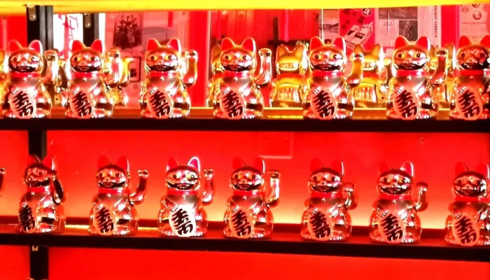 Wantan -  Comentario 3 - Montevideo