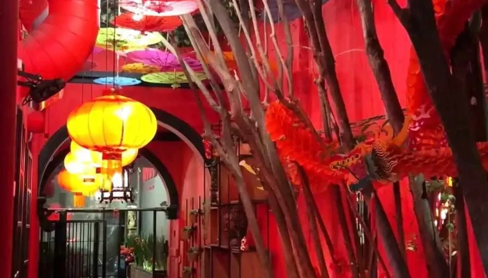 Wantan -  Videos - Montevideo