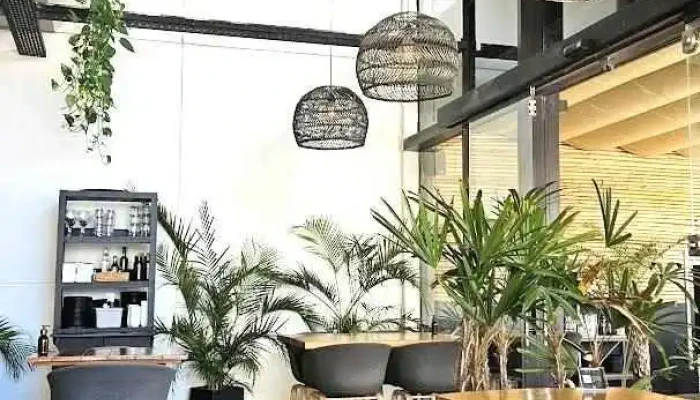 Watashi Sushi Wok Mas Recientes - Punta del Este