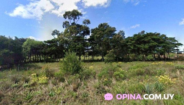 Whisqueria El Poca - Chui Whisqueria El Poca - Chui