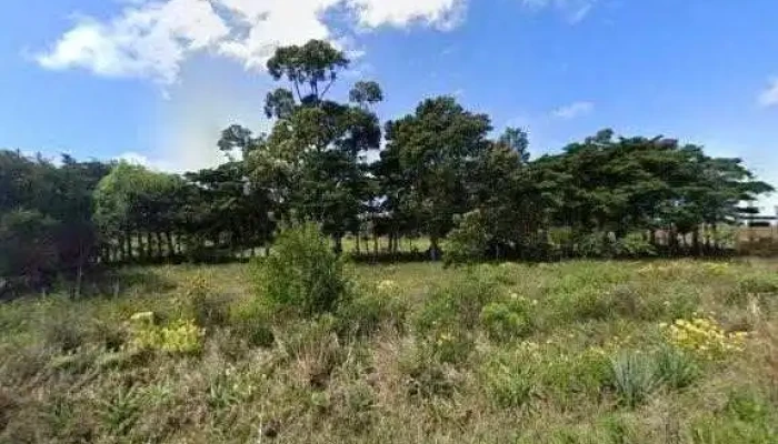 Whisqueria El Poca -  Street View Y 360 - Chui