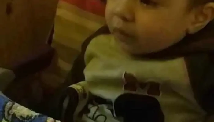 Wolves -  Videos - Barrio Anglo