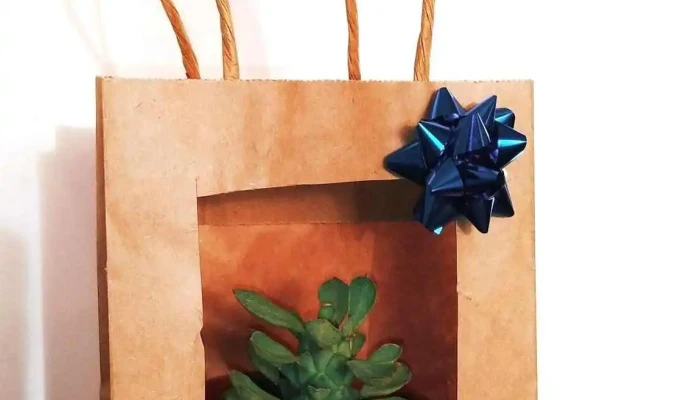 Yeny Fischer -  Interior - Young