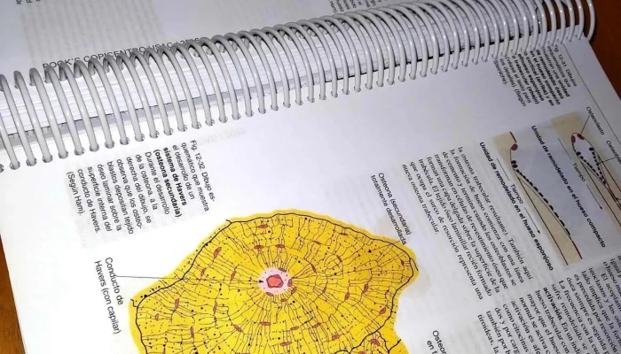 Yl Impresiones Uy -  Papel - Montevideo