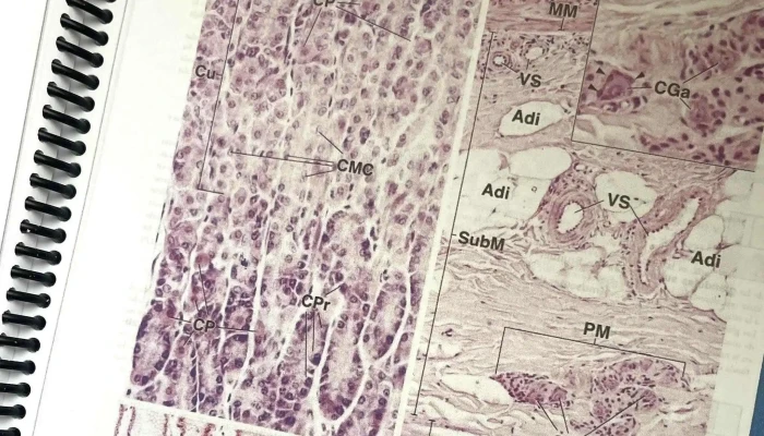 Yl Impresiones Uy -  Telefono - Montevideo