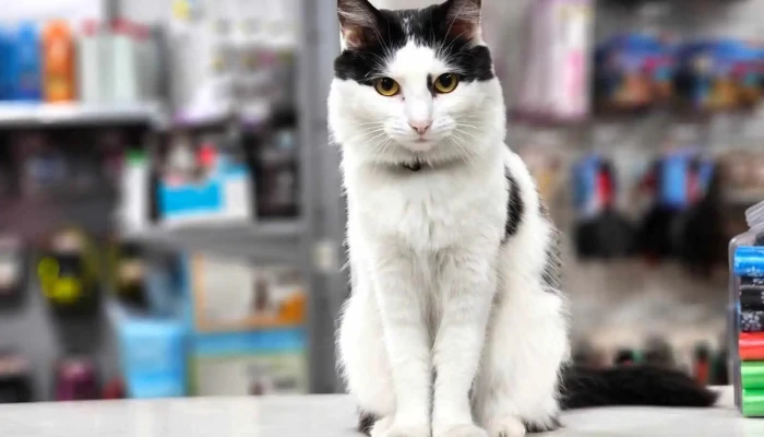 Yo Te Quiero Tienda De Mascotas - 11900 Montevideo