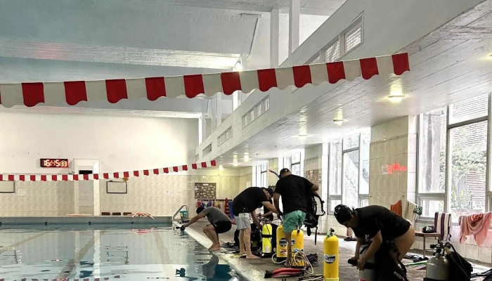 Yobuceo   Escuela Clases Y Cursos De Buceo Padi Montevideo - Montevideo