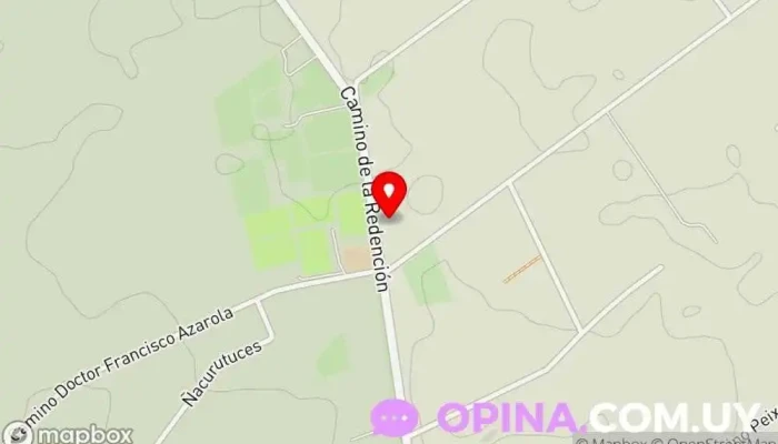 mapa de Your Place School of English Academia de idiomas en Montevideo