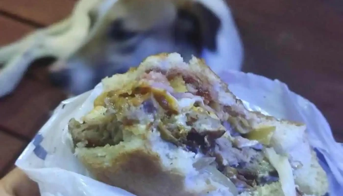 Za Za Sabor -  Comidas Y Bebidas - Paso de los Toros