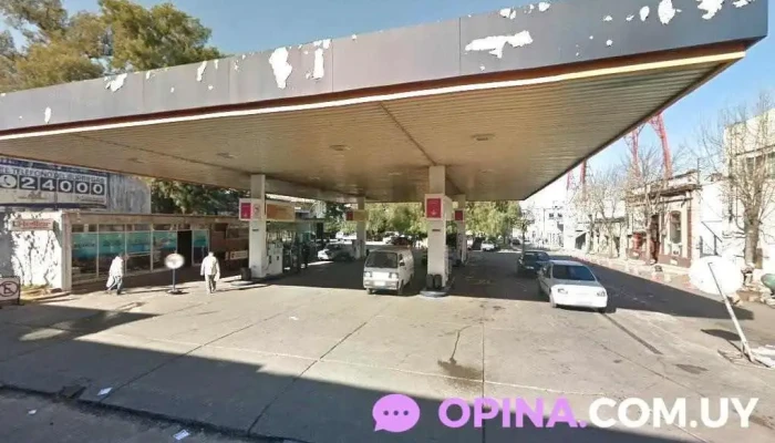 Zenit San José - 80000 San José De Mayo