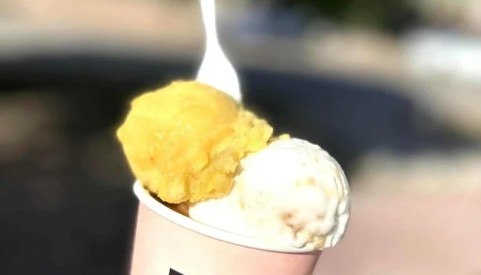 Zero Helados Carrasco -  Comidas Y Bebidas - Montevideo