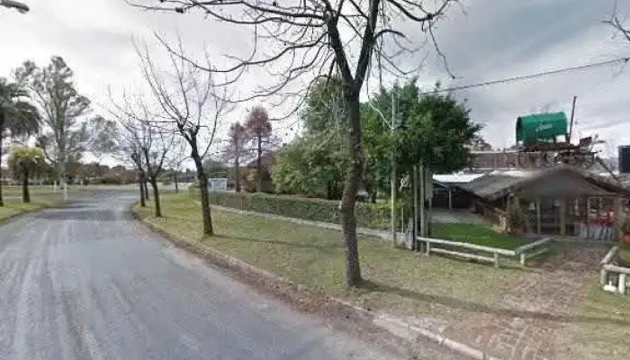 Ziba Bar Todo - Pando