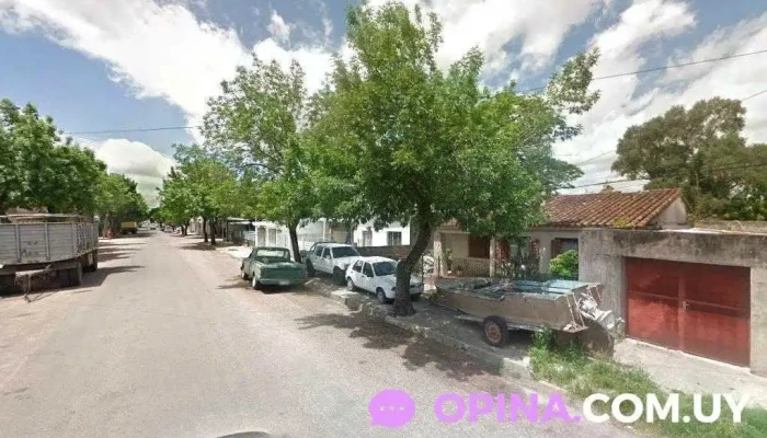 Zinoveev rematadores - Young