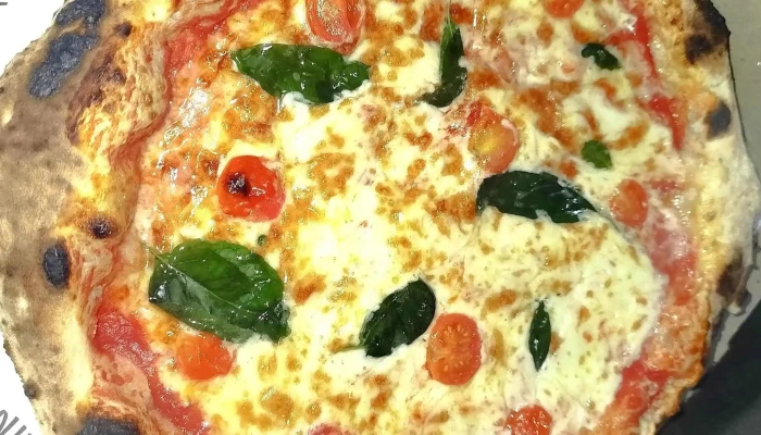 Zio Nero Comentario 7 - La Paloma